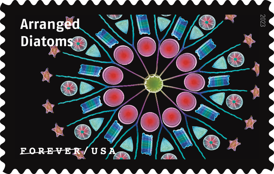 2023 Life Magnified Stamps - Forever Stamps