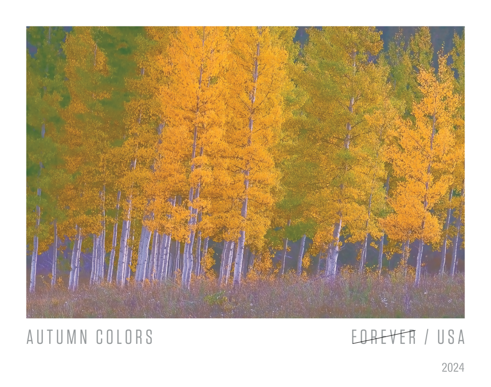 2024 Autumn Colors Stamps | Tool Stamps US Postage Stamps