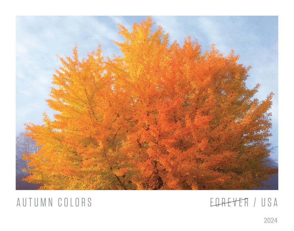 2024 Autumn Colors Stamps | Tool Stamps US Postage Stamps