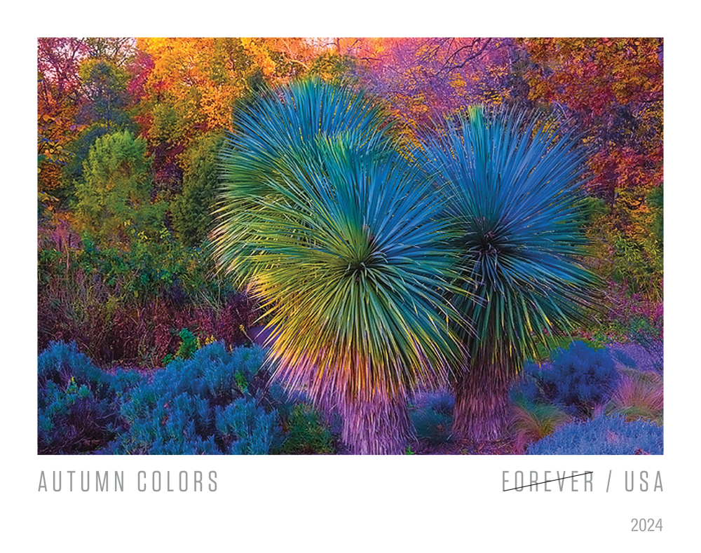 2024 Autumn Colors Stamps | Tool Stamps US Postage Stamps