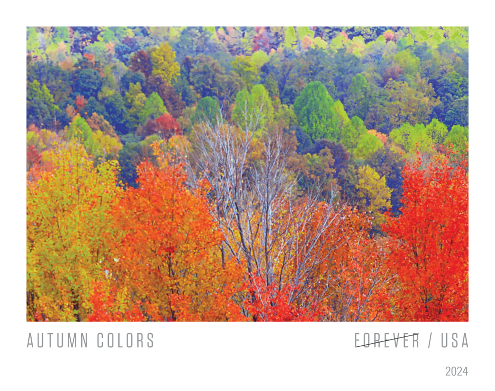 2024 Autumn Colors Stamps | Tool Stamps US Postage Stamps