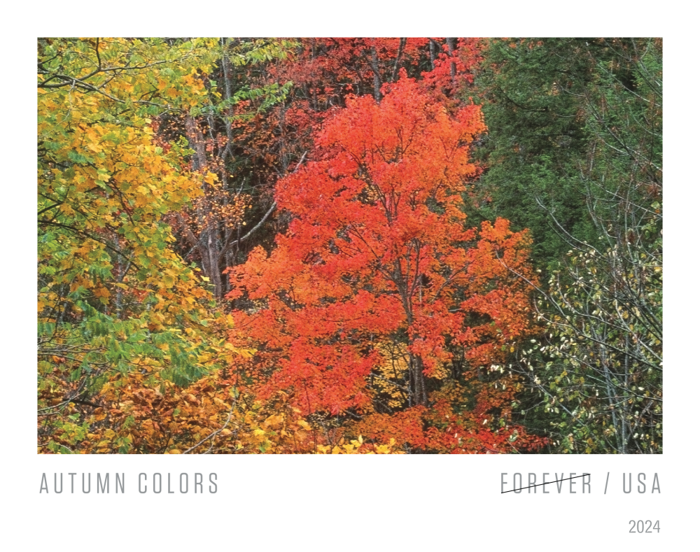 2024 Autumn Colors Stamps | Tool Stamps US Postage Stamps