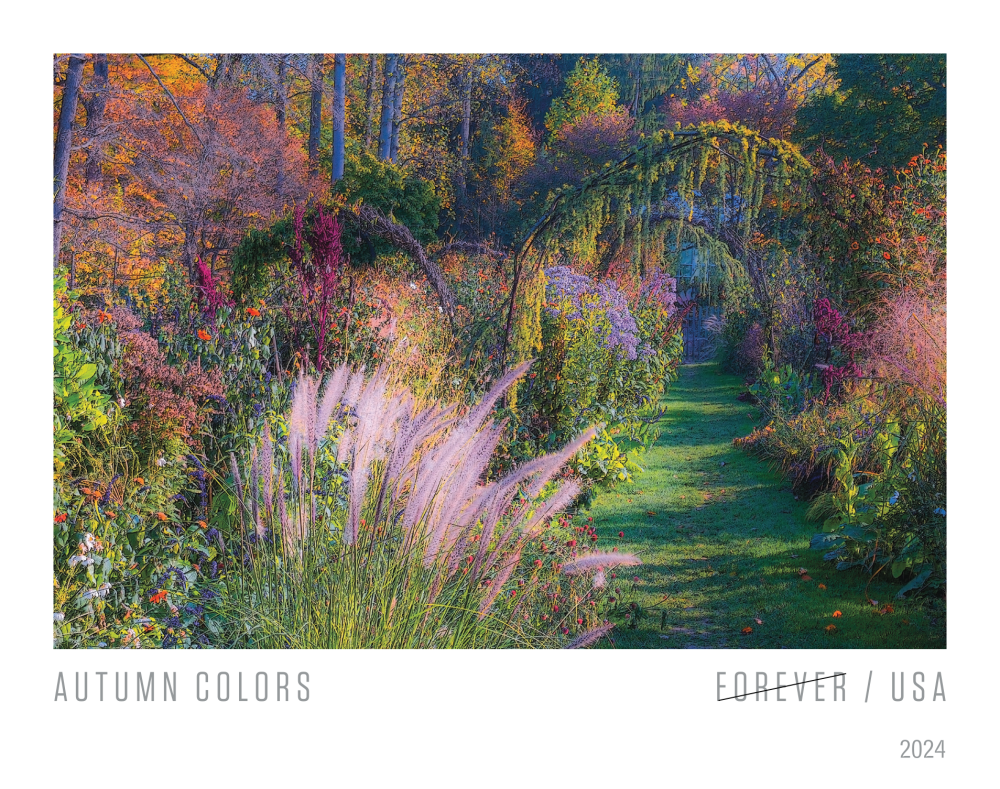 2024 Autumn Colors Stamps | Tool Stamps US Postage Stamps