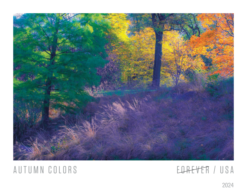 2024 Autumn Colors Stamps | Tool Stamps US Postage Stamps