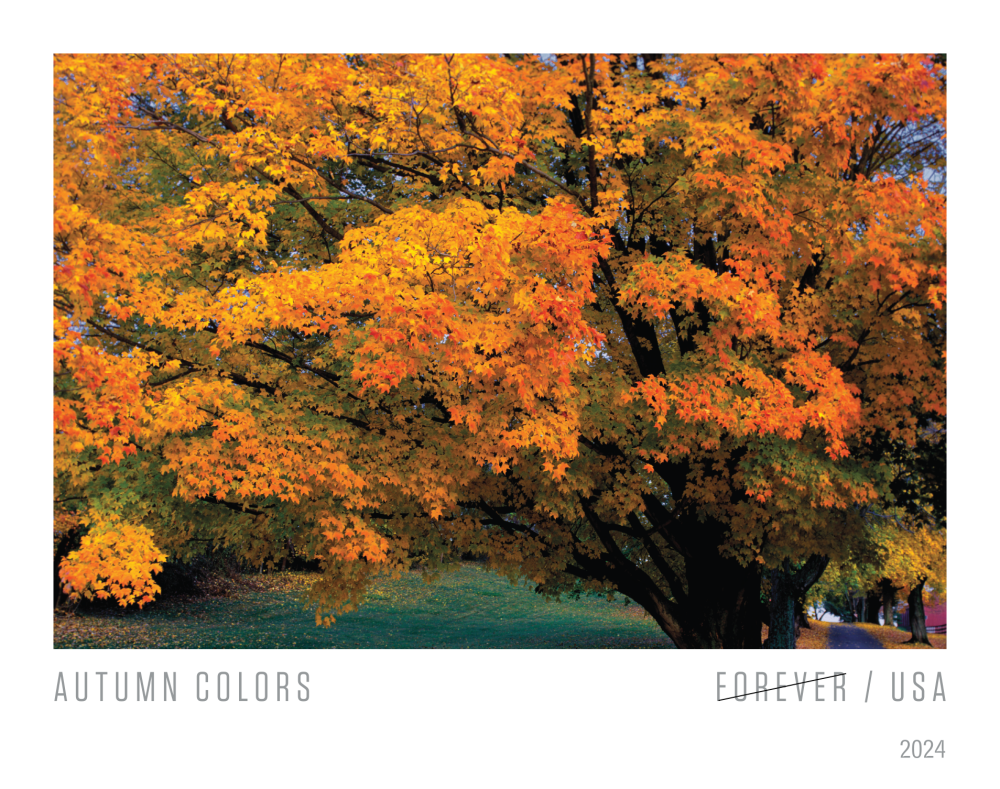 2024 Autumn Colors Stamps | Tool Stamps US Postage Stamps