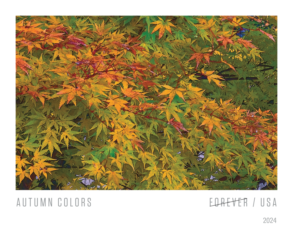 2024 Autumn Colors Stamps | Tool Stamps US Postage Stamps
