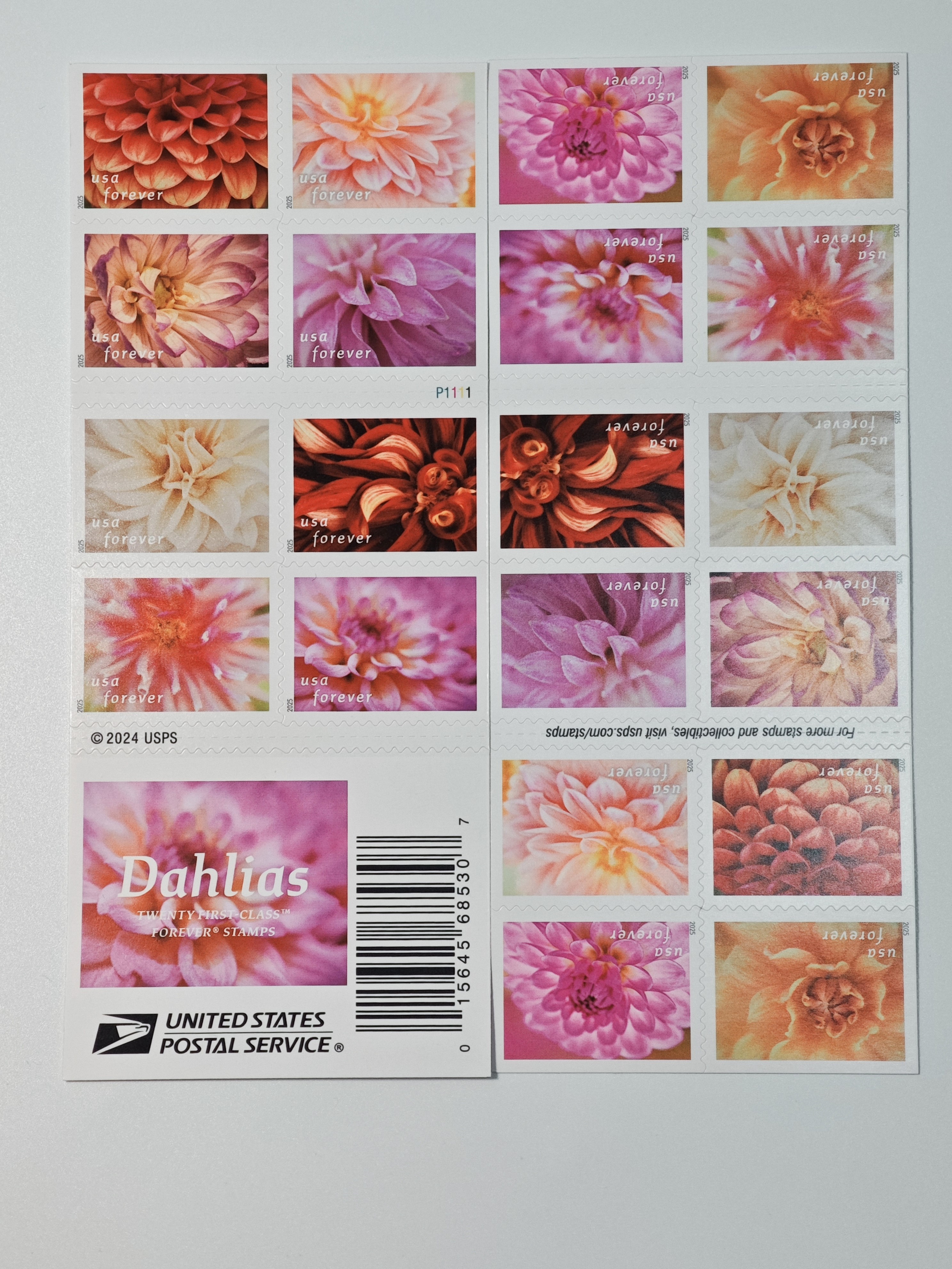 2025 Forever Stamps Dahlias Stamps | Forever Stamps US Postage Stamps